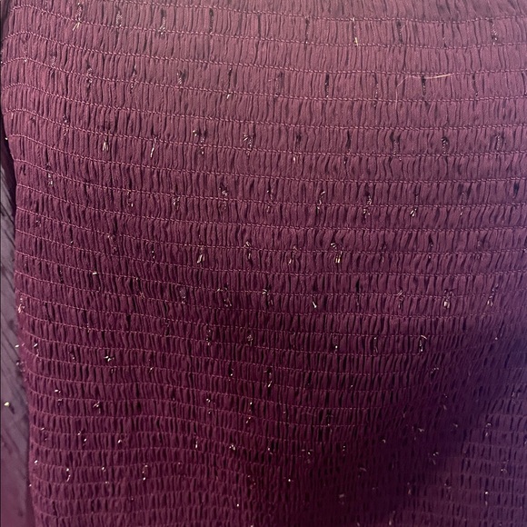 EXPRESS Purple Sparkle Long Sleeve Elastic Smocked Puff Shoulder Blouse XL - Picture 4 of 12